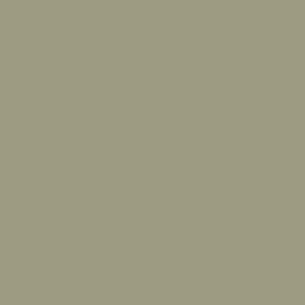 Finish V13, solid colour